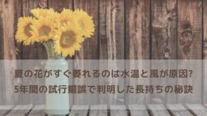 夏の花がすぐ萎れるのは水温と風が原因!5年間の試行錯誤で判明した長持ちの秘訣
