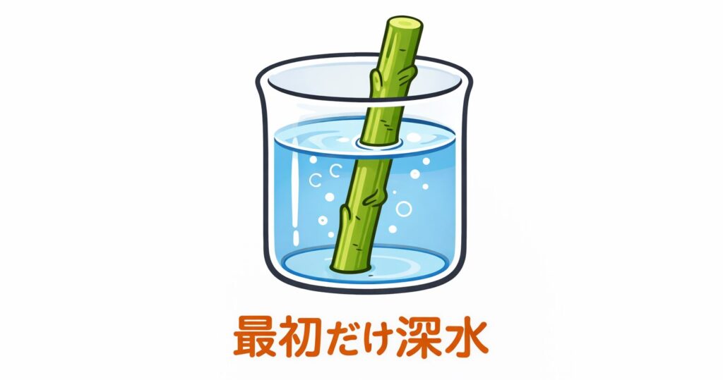 枝物を深水している図