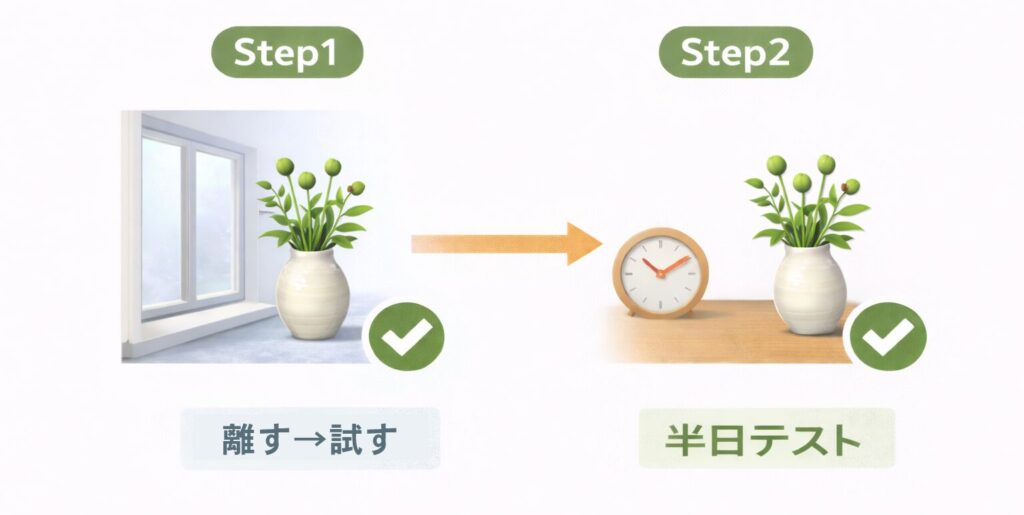 半日テストの2ステップ図解