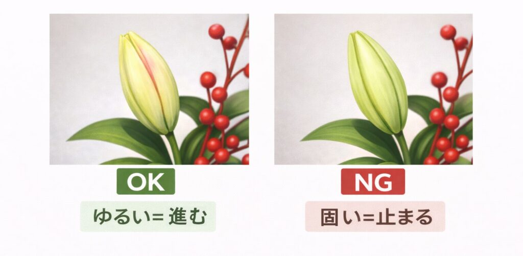 先がゆるいつぼみと固いつぼみの対比図