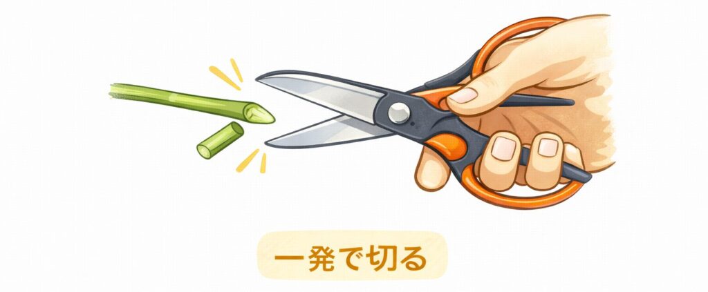 茎をハサミで切る図